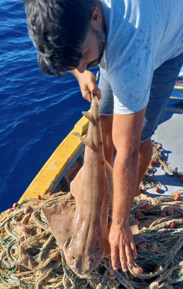 Mersea Media Archive 1