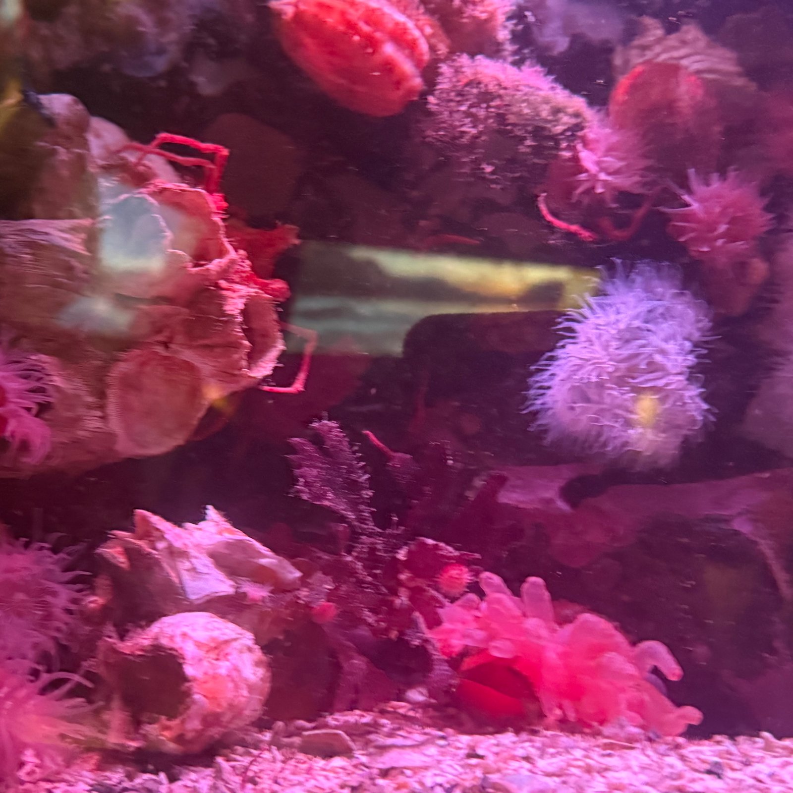 Mersea Media Archive 17