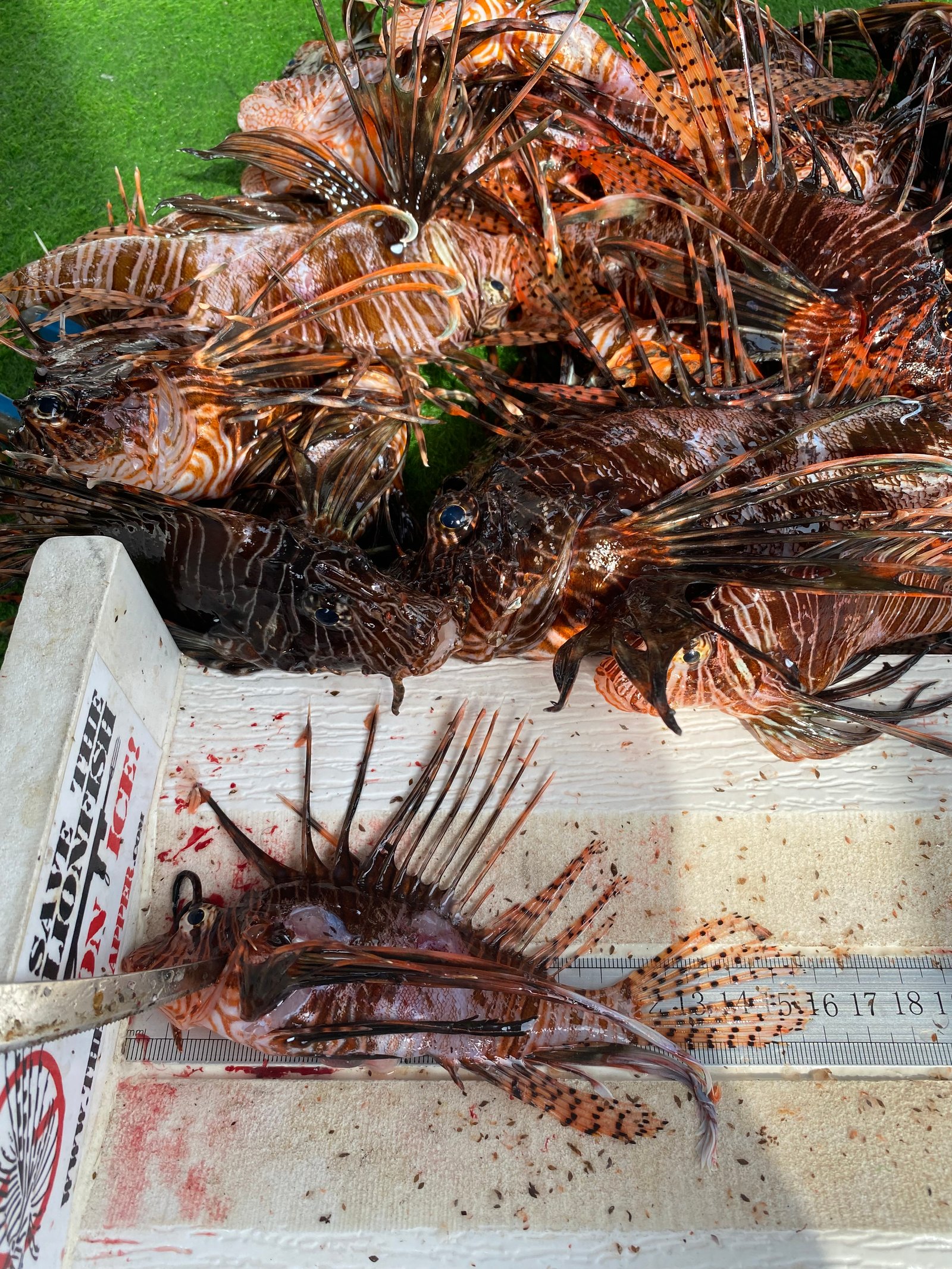 Mersea Media Archive 18