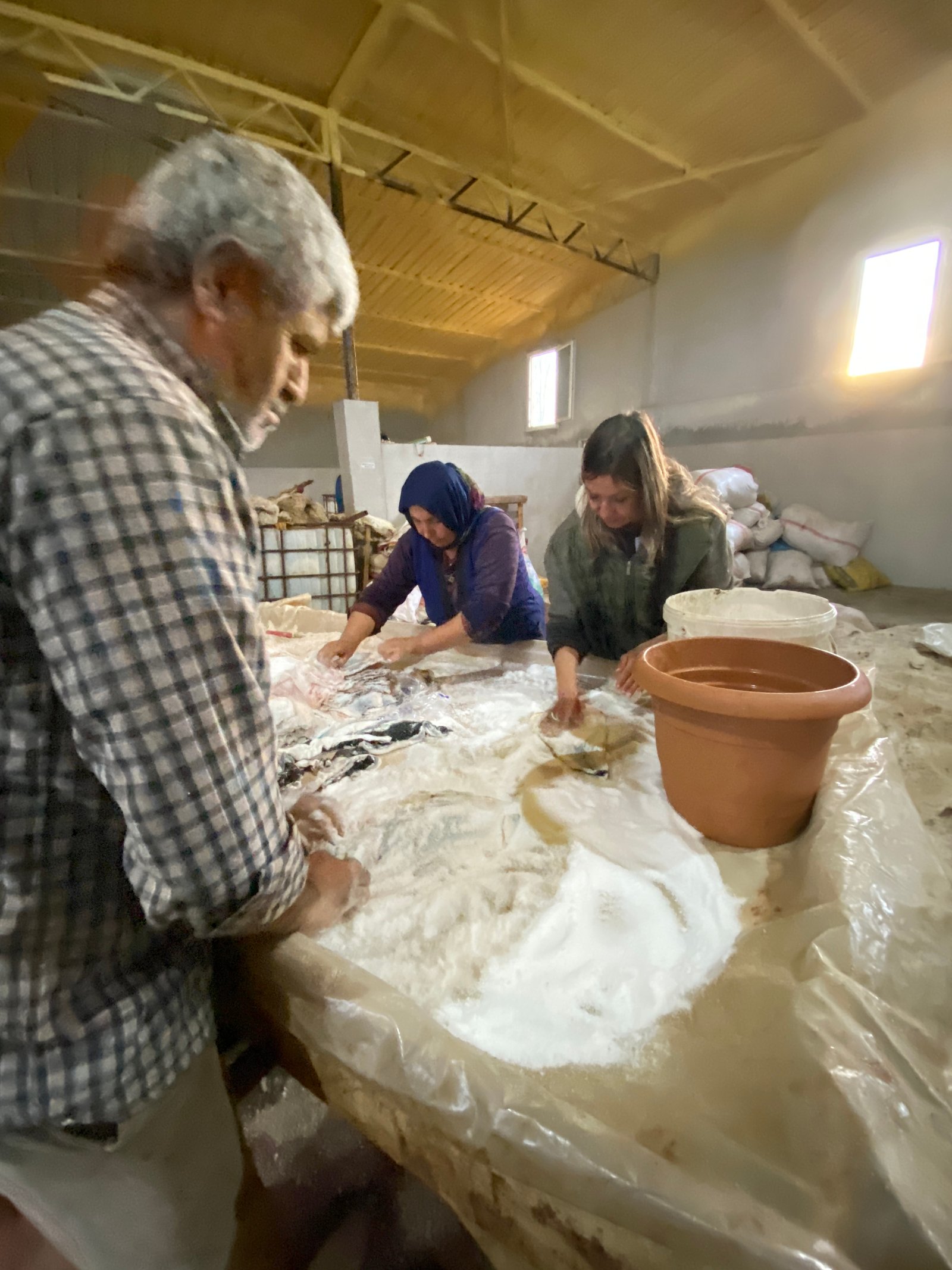 Mersea Media Archive 31