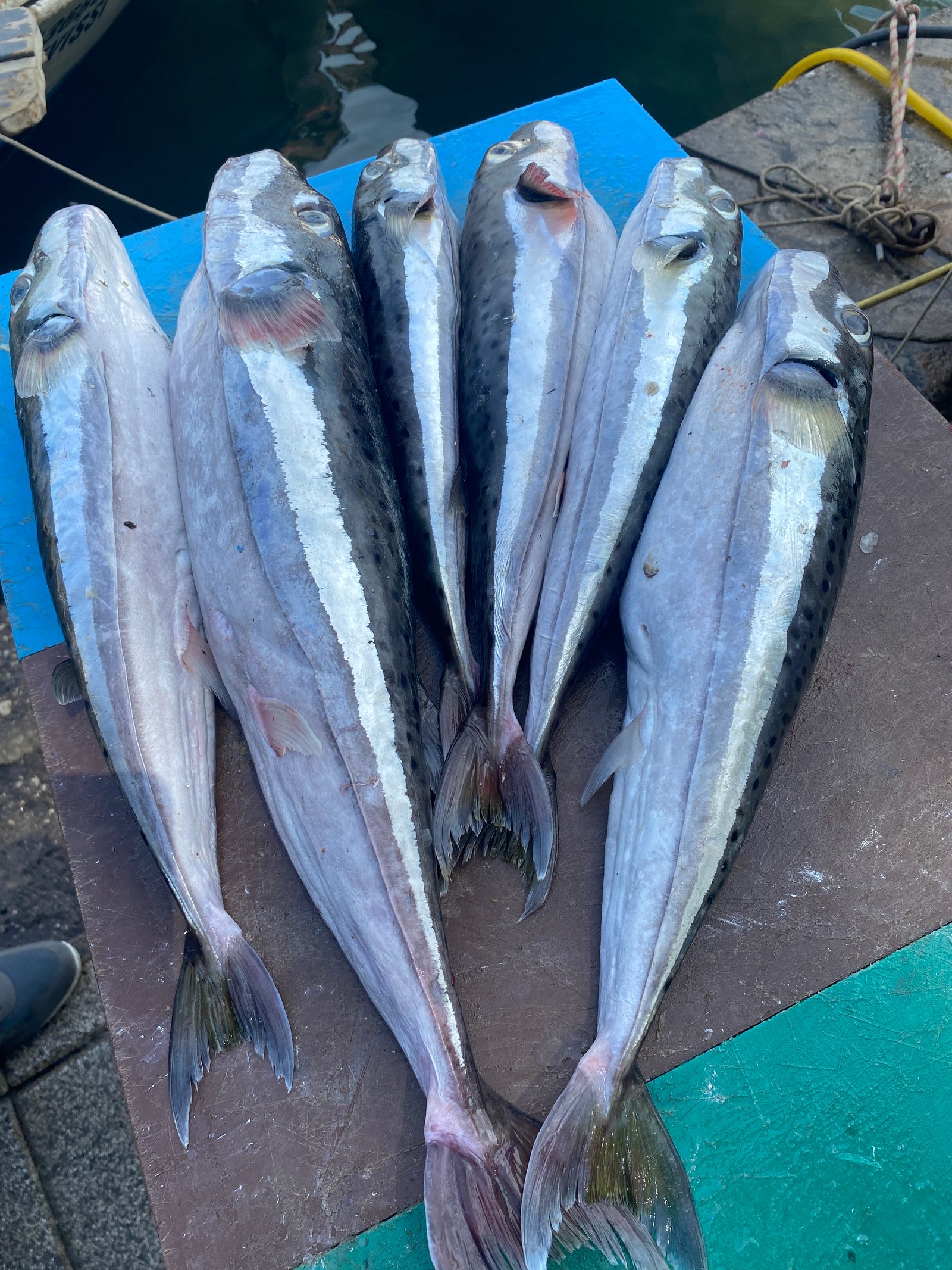 Mersea Media Archive 35