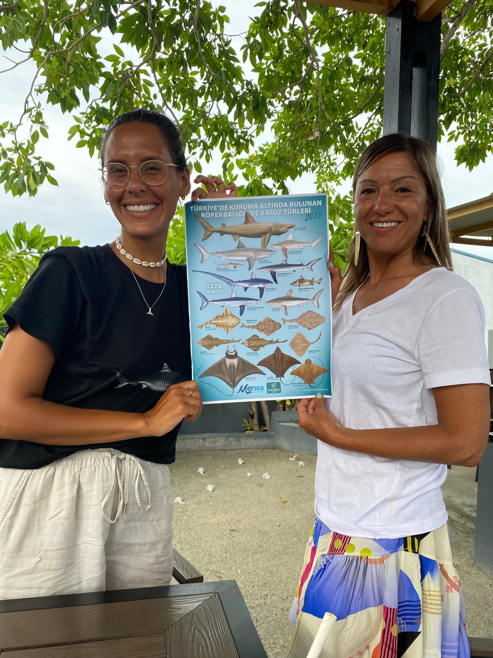 Mersea Media Archive 40