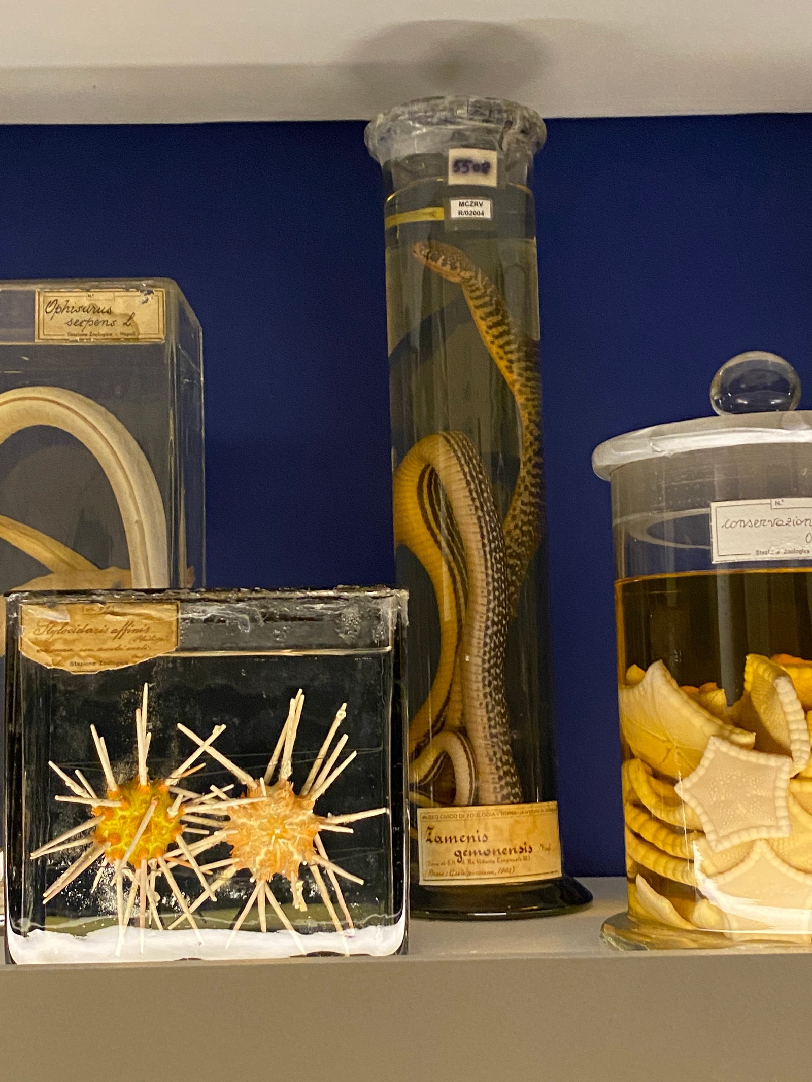 Mersea Media Archive 52