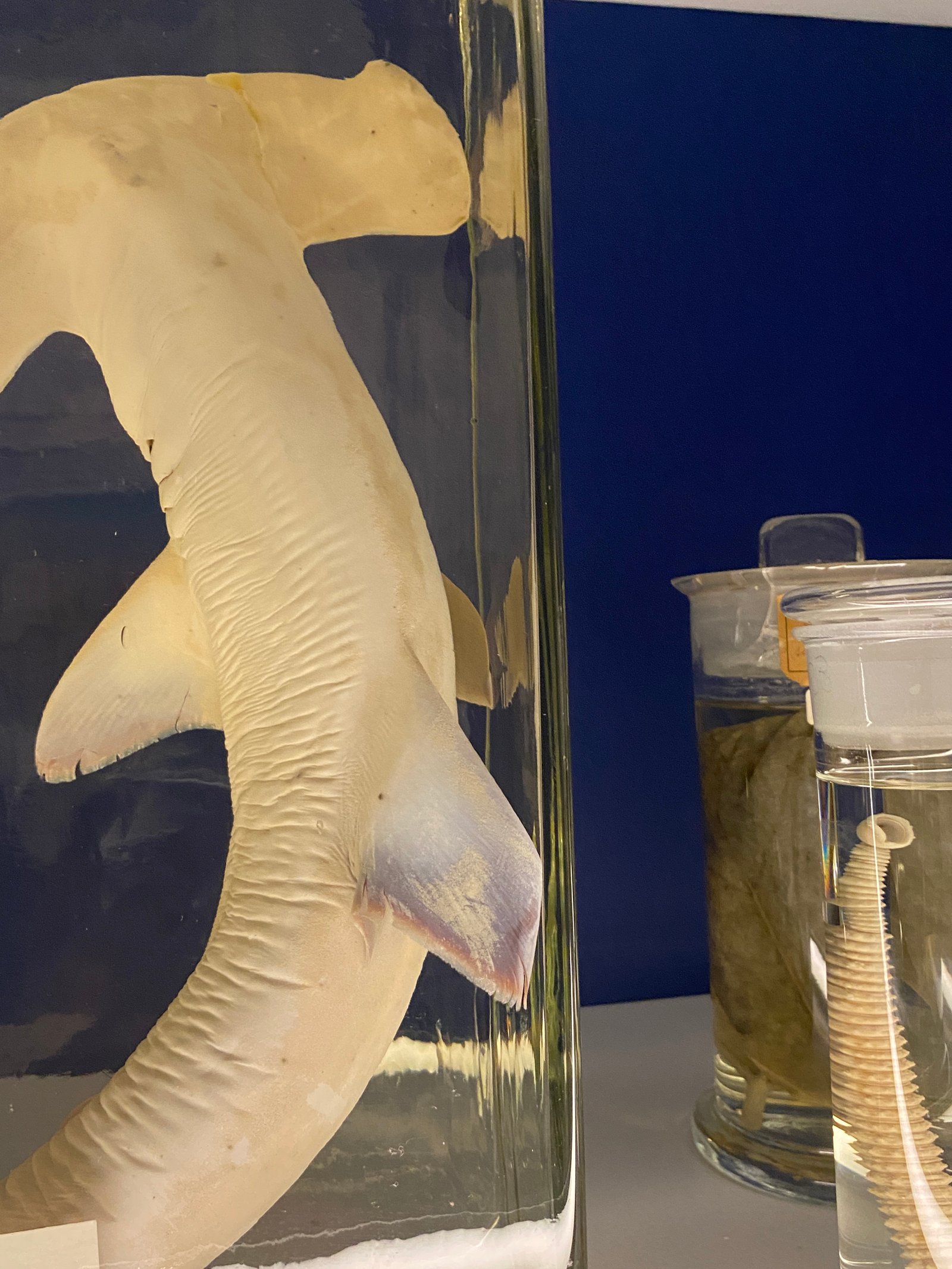 Mersea Media Archive 53