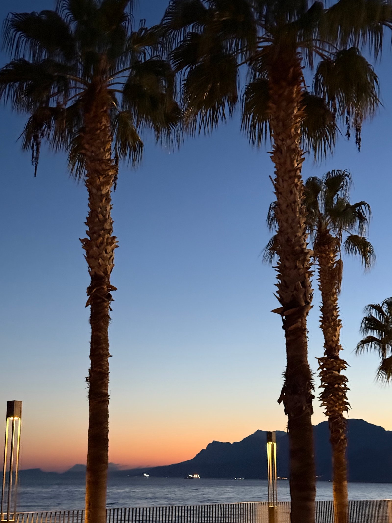 Mersea Media Archive 65