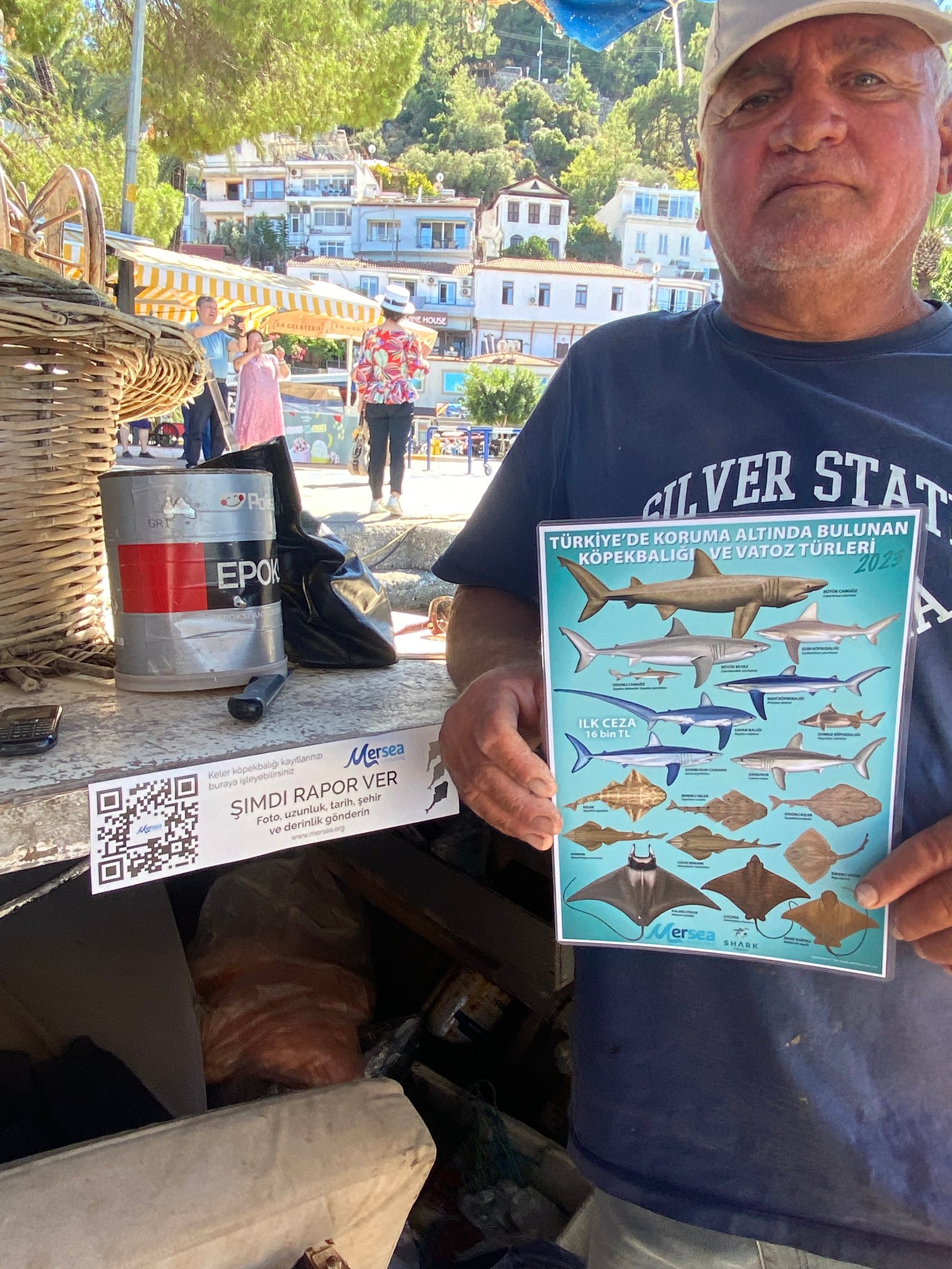 Mersea Media Archive 100