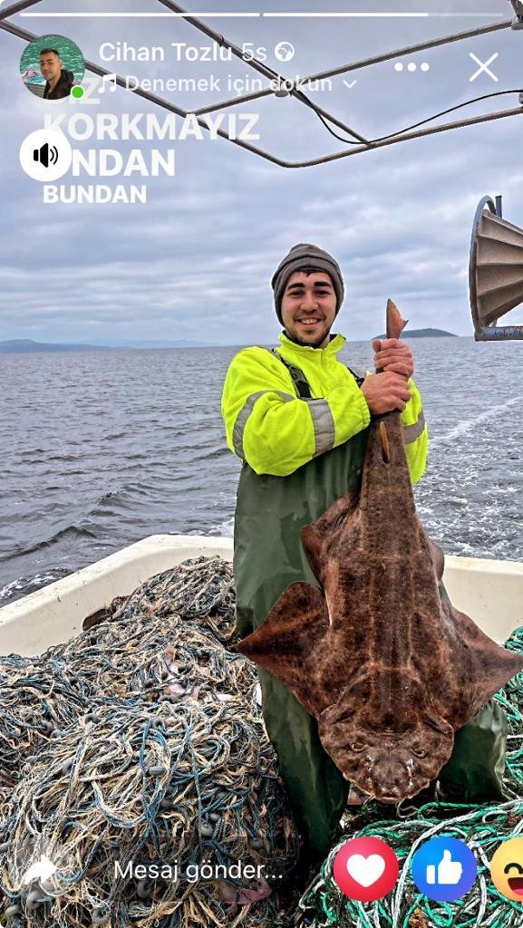 Mersea Media Archive 109