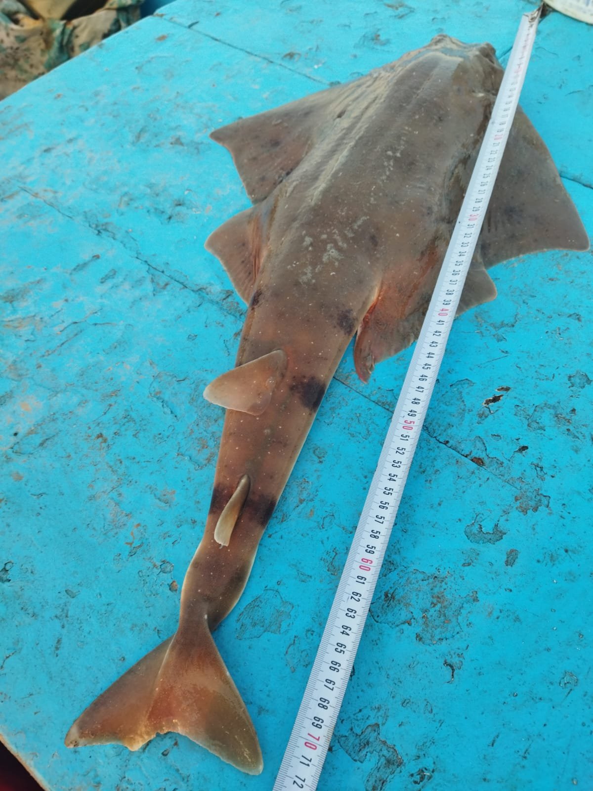 Mersea Media Archive 110